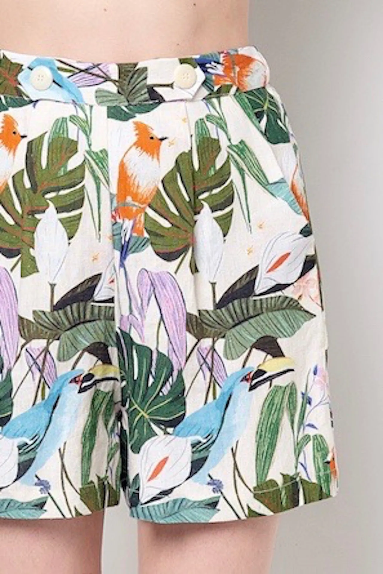 JORDAN High Waisted Shorts-Bird